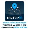 angeln-in