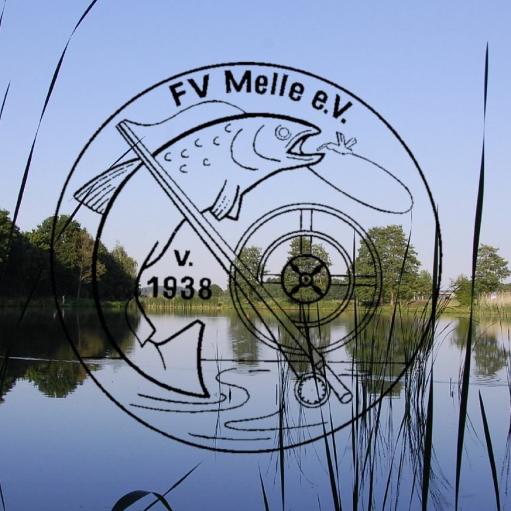 Auszug aus der Satzung